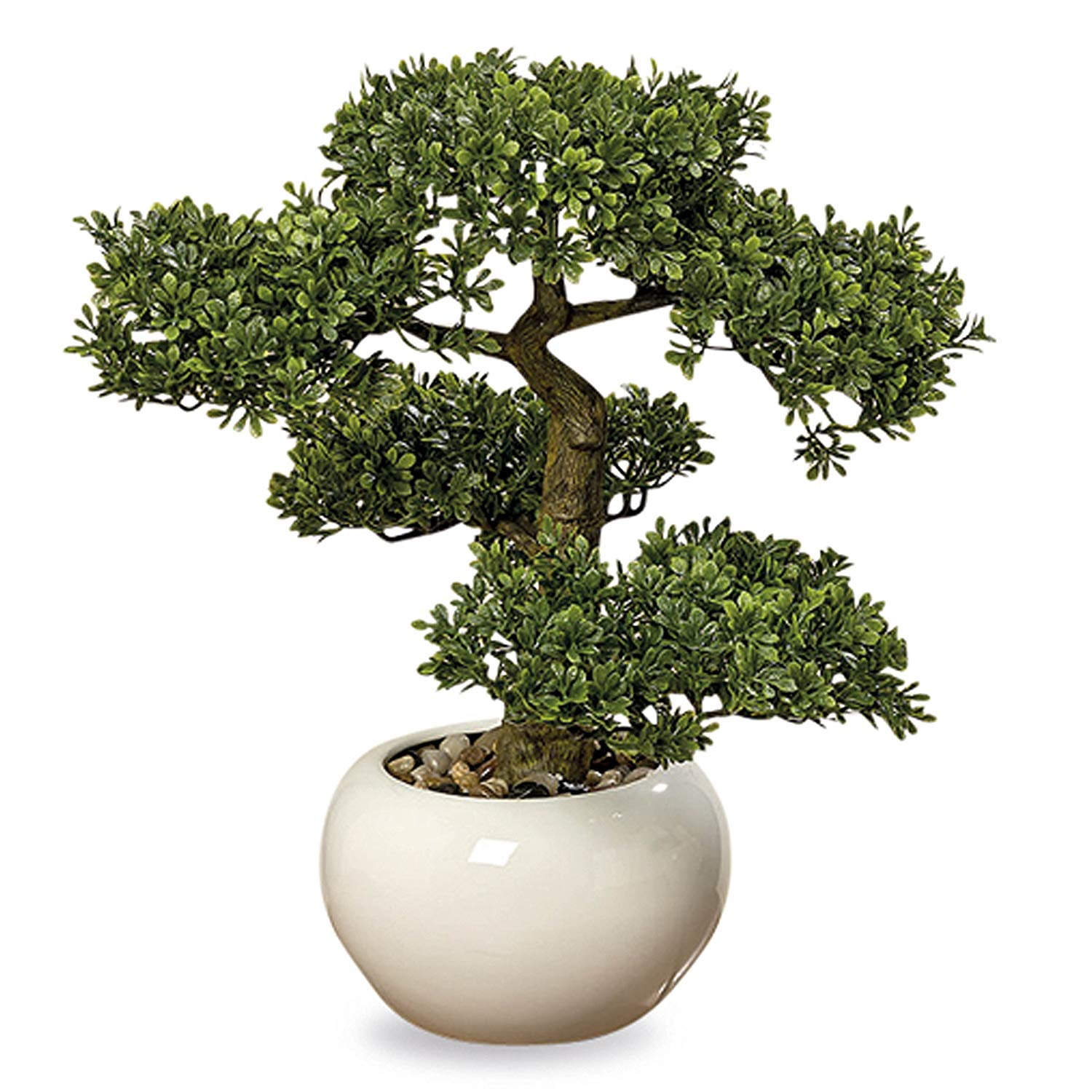 Realistic Faux Harland Boxwood Bonsai Tree, Houseplant, White Round Pot, Pebbles, Padded Bottom