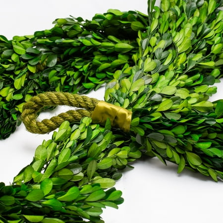 Boxwood Garland - Richland Preserved Boxwood Garland 70