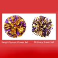 2 Packs Metallic Foil Cheerleader Pom Poms & Plastic Ring Cheer Poms