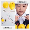 thumbnail image 3 of Kit de experimentos con batería de frutas, 2 juegos, enseñanza de física para estudiantes, juguete educativo, 3 of 6