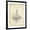 Black Frame, variant on Art.com Classical Chandelier II Stretched Canvas Print Wall Art by Ethan Harper, 12" x 16"