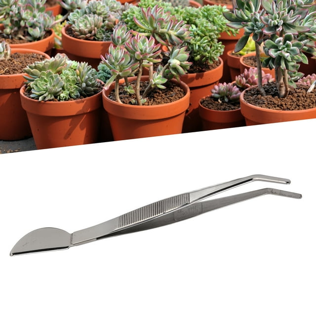 Stainless Steel Bonsai Tweezers, Rustproof, Durable, Edges, Ergonomic Design, Ideal for Removing Dead Leaves, Insects, Weeds, Applying Moss, Perfect Gift