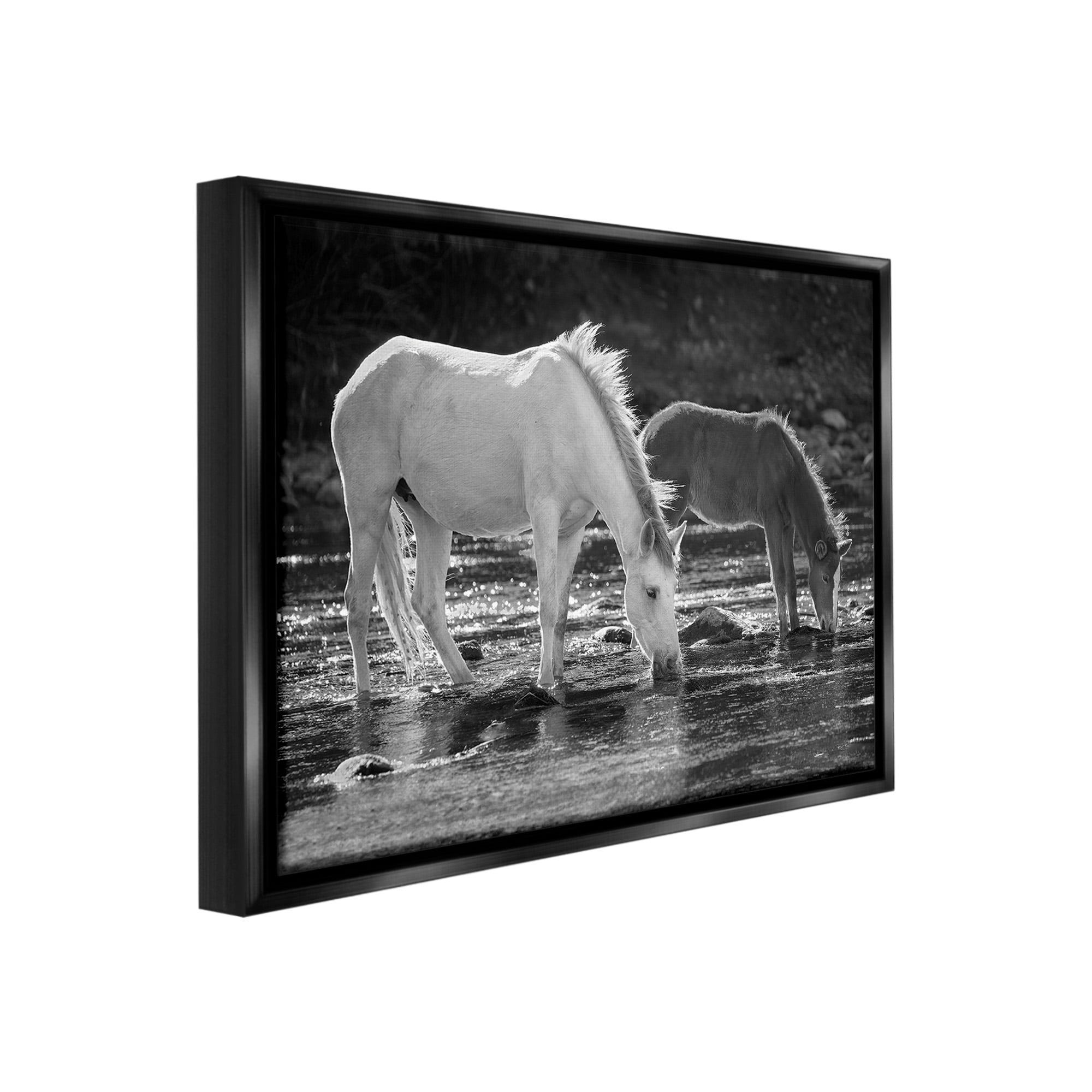 Stupell Industries Horses Drinking at Stream Animals & Insects Photography Black Floater Framed Canvas Art Print Wall Art, 21 x 17
