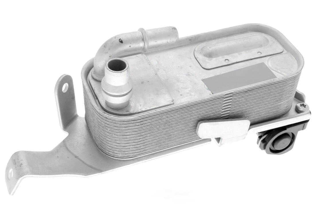 VEMO V20-60-0053 Oil Cooler, engine oil