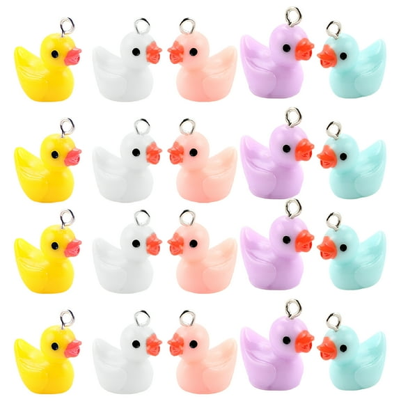 DESIGNICE Resin Duck Charms for Jewelry Making Assorted Color Perfect for Earrings Crafting 40Pcs