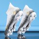thumbnail image 3 of Botas de fútbol para hombre, botas de fútbol para niños, botines de fútbol profesionales para mujer, calzado antideslizante para fútbol TF/FG, calzado de fútbol para exteriores, 3 of 5