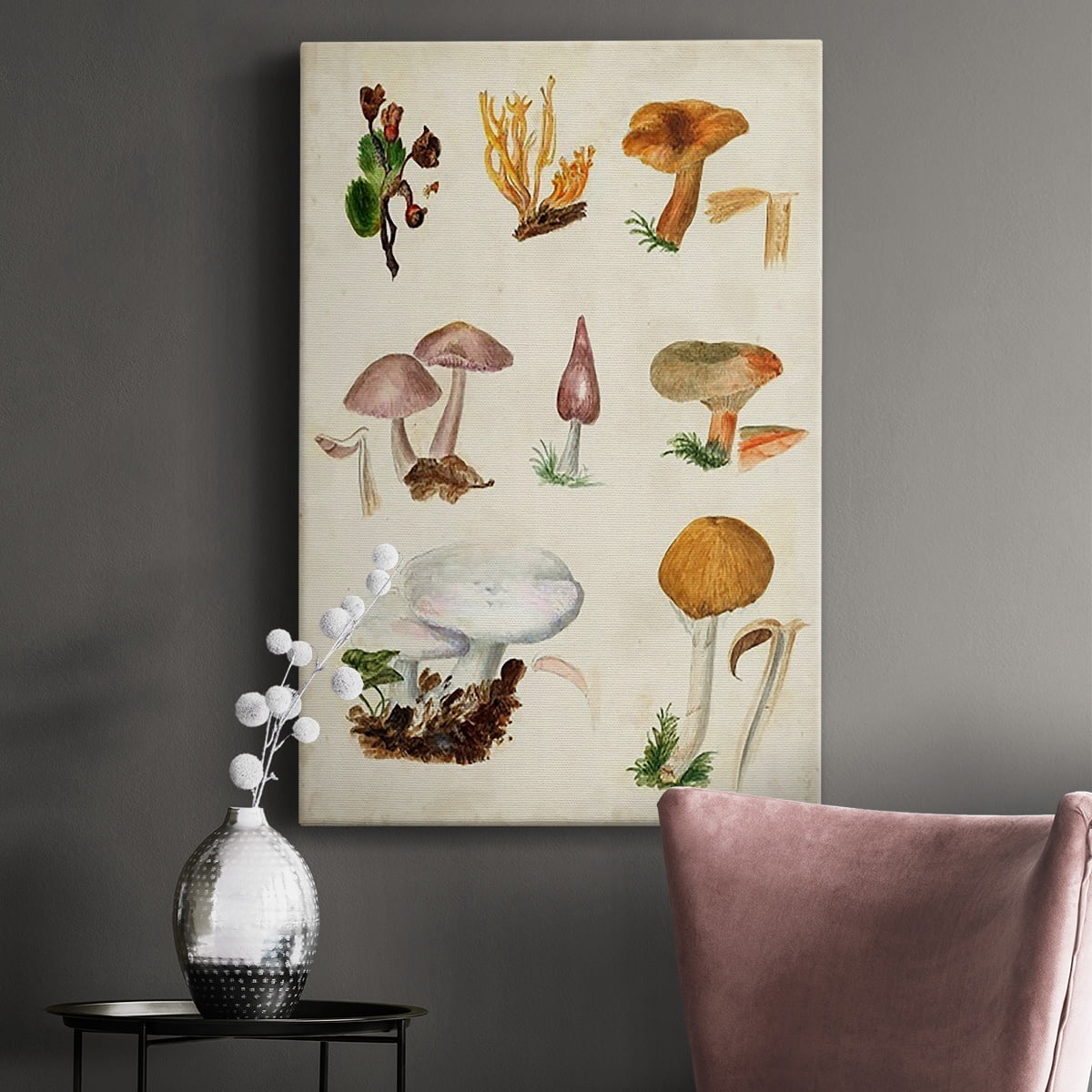 Mushroom Species VI Premium Gallery Wrapped Canvas - Ready to Hang