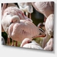 thumbnail image 2 of Pat of Flamingos Close Up - Abstract Canvas Art Print, 2 of 3