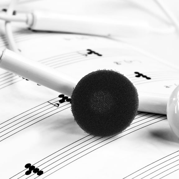 MLINS 30pcs Ear Bud Sponge Covers Earbuds Tips Ear Tips Replacement Ear Bud Covers Soft Ear Bud Cushion Pads Replacement Earphone Covers