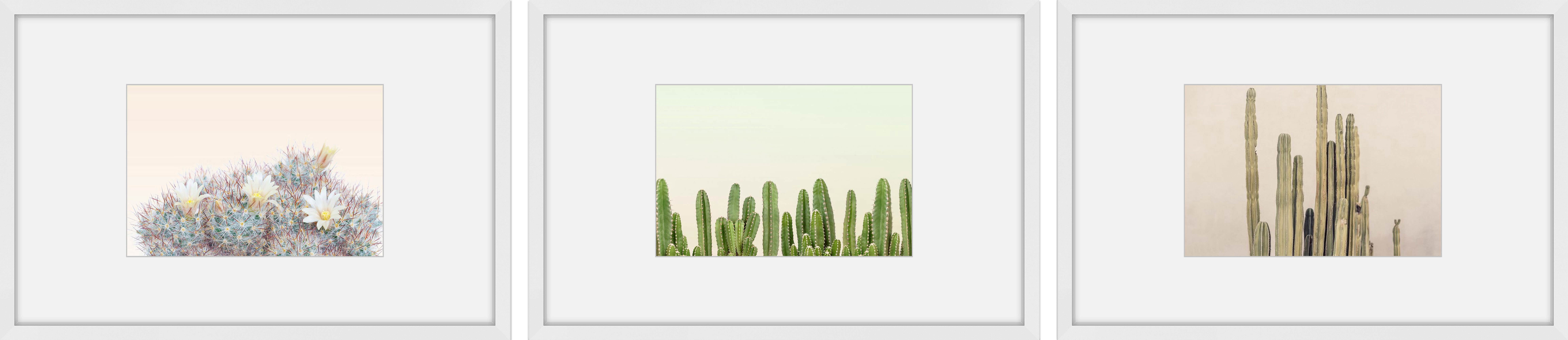 Floral Cactus Triptych, Art Prints, 135.00" x 1.50"