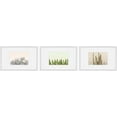 thumbnail image 2 of Floral Cactus Triptych, Art Prints, 54.00" x 1.50", 2 of 6