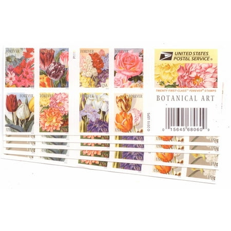 Botanical Art U5 Books of 20 USPS Forever First Class Postage Stamps Beautiful Flower Bloom (100 Stamps)