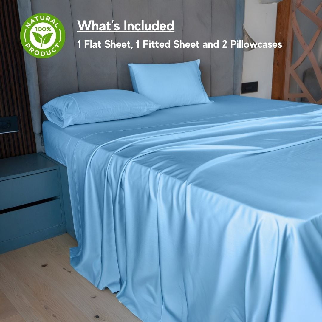 Home Prides Queen Bamboo Sheets Set - 100% Bamboo Viscose, Silky Soft Cooling & Breathable Bamboo Bed Sheets, 4-Piece, 15” deep Pocket, Oeko-Tex Certified, Frosted Blue