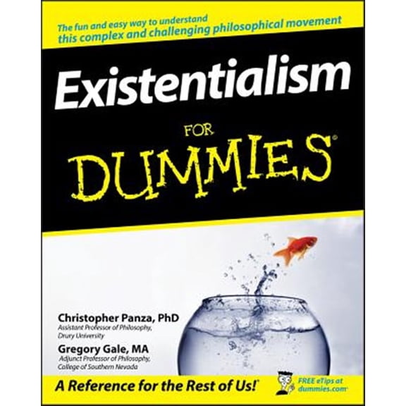 Pre-Owned Existentialism For Dummies (Paperback) 0470276991 9780470276990