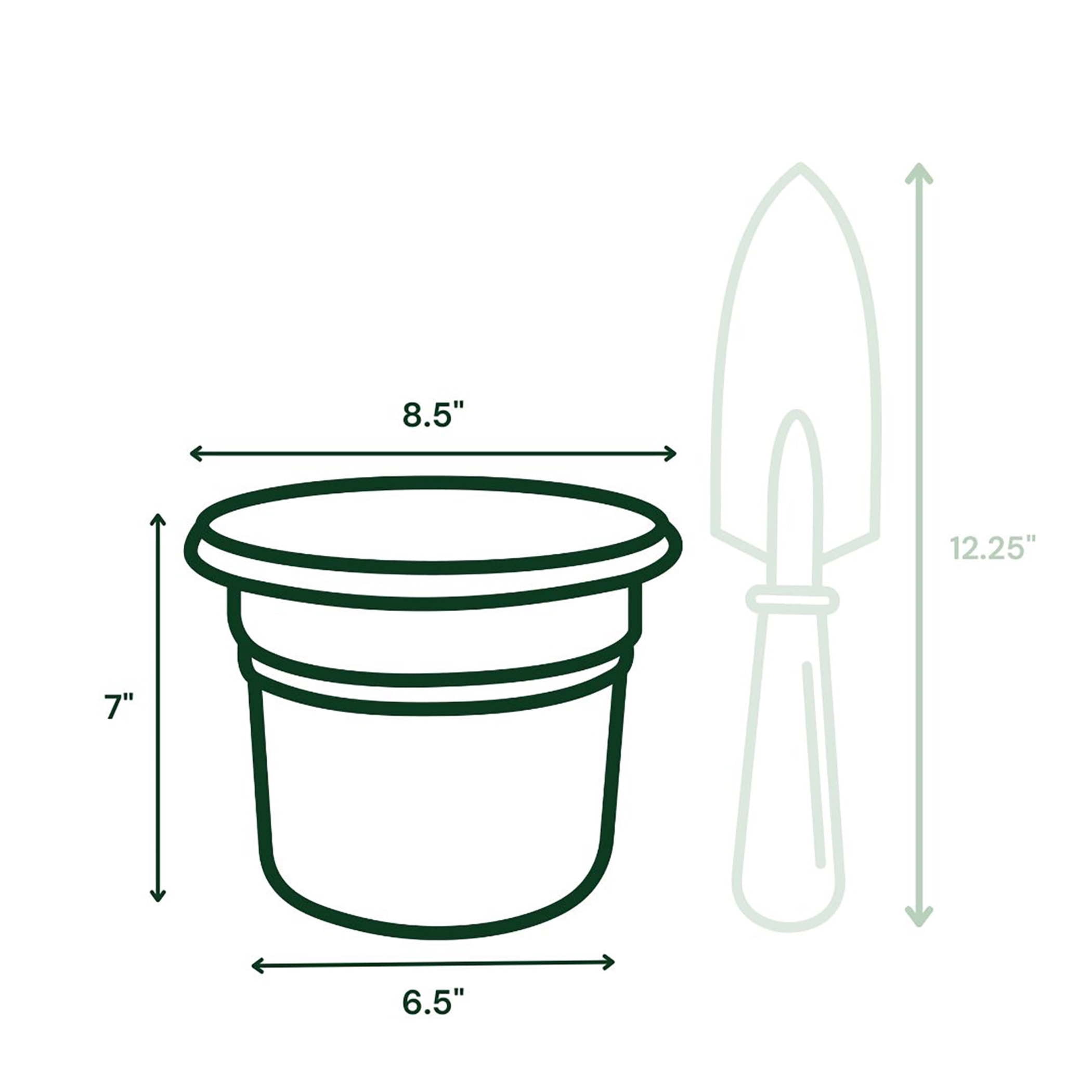Bloem Posy 8" Round Plastic Planter, UV-Resistant Indoor/Outdoor Pot, Basil