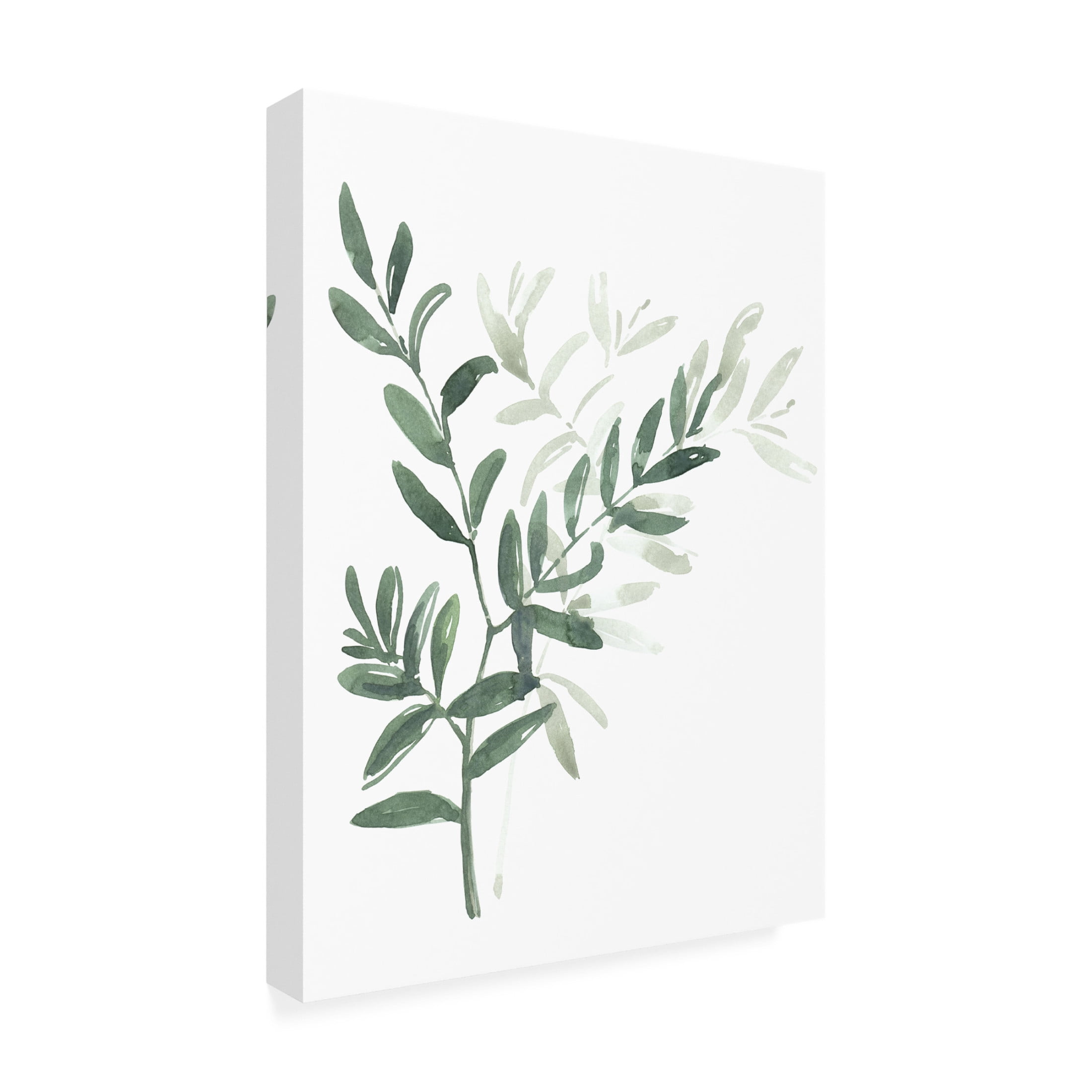 Canvas Wall Art - blursbyai 'Watercolor Laurel Branch' Wall Art for Living Room, Bedroom, or Office Décor by Trademark Fine Art - 18 x 24 Inches