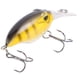 thumbnail image 3 of Suministros de pesca, Pesca Mini Minnow Cebo Pesca Mini Señuelo Pesca Manivela Cebo Conjunto Acabado de lujo, 3 of 9