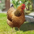 thumbnail image 4 of Estaca De Animales Rooster Garden Stakes Estaca acrílica para patio para techo de granero de casa (A) Tmvgtek Libre de BPA, 4 of 8