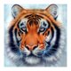 thumbnail image 2 of Cuadros Decorativos Kits de pintura de diamante 5D DIY pared de mosaico de tigre de taladro redondo completo (sz1826) Ndcxsfigh Nuevos Originales, 2 of 8