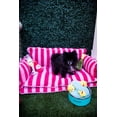 thumbnail image 6 of Glow Pups Extra Large Washable Pet Bed, Pink Striped, Size 	39.37"L x 23.62"W x 15.75"Th, 6 of 18