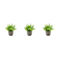 thumbnail image 3 of kurtrusly Realistic Artificial Succulent Low Maintenance Elegant Easy To Clean Artificial Money Tree In Pot blue babysbreath 3Set, 3 of 6