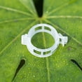 thumbnail image 4 of Clips de soporte para plantas Clip reutilizable para encuadernación de plantas para tomate vegetal 100/200 Uds., 4 of 8
