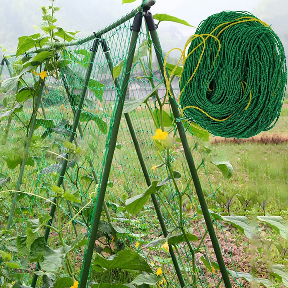 Garden Plant Climbing Net Trellis Netting Mesh Support Fruits Vine Veggie Bean 