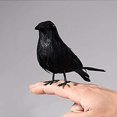 thumbnail image 2 of De Cuervos Negros De Halloween, Cuervos De Plumas Artificiales Negros, Cuervos Realistas Hechos A Mano Para Decoración Interior Y Exterior 6 Uds. Guardurnaity HA038566-00, 2 of 5
