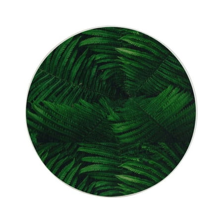 

Circular Drink Coasters Set Plant Beautiful Home Decor Diatomite Heat-Resistant Diatomite Protect Table Countertop