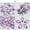 N, variant on 500Pcs Glitter Horse Eye Rhinestones Nail Art Decorative Glue Acrylic, Colorful Glitter Rhinestones for Nail Decoration, Sparkling Gems for DIY Nail Art Creations Clearance Sales Today Deals Prime