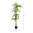 thumbnail image 5 of 6  Artificial Dracaena Tree in Black Plastic Pot Realistic Indoor Faux Plant 1 Set, 5 of 11