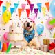 thumbnail image 2 of 3 Piezas Bandanas de Cumpleaños para Perros Bufanda de Cumpleaños para Perros Bufanda para Mascotas a Cuadros de Doble Capa Baberos para Perros con Estampado Triangular Reversible Lavable Pa, 2 of 4