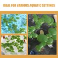 thumbnail image 2 of GOOHOCHY 8 bolsas de lentejas de agua flotantes: miniplantas flotantes artificiales para acuario, lentejas de agua artificiales realistas, decoraciones de plástico para peceras., 2 of 7