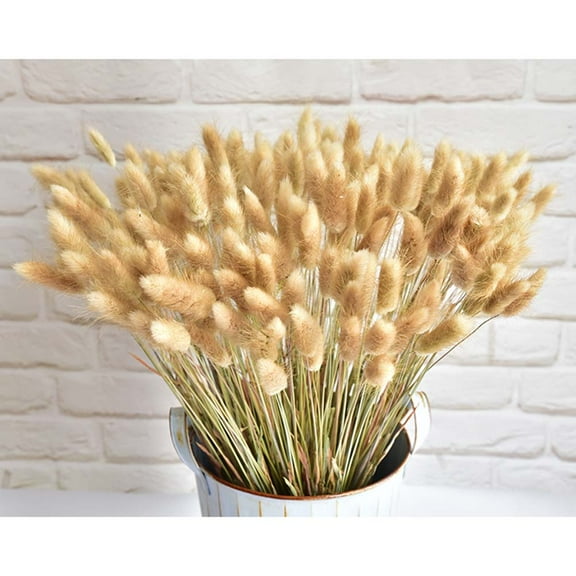 MLINS 50 Pcs Dried Grass Pennisetum Bunny Tail Natural Plants Decorative Flowers for Home and Office Decor Multi