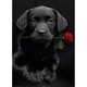 thumbnail image 1 of Pintura de diamante 5D Perro fiel 30 x 40 cm (estilo 9), 1 of 5