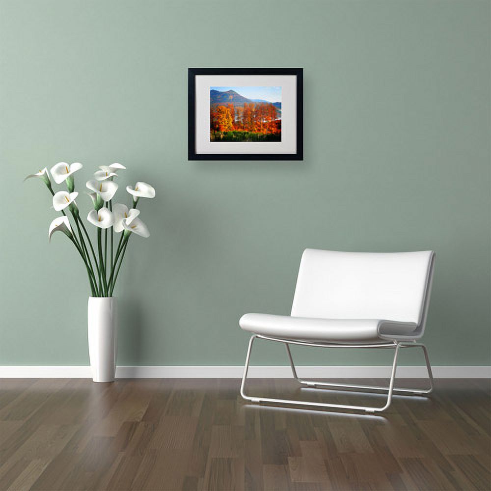 Trademark Fine Art "Swing" Canvas Art by Philippe Sainte-Laudy, Black Frame