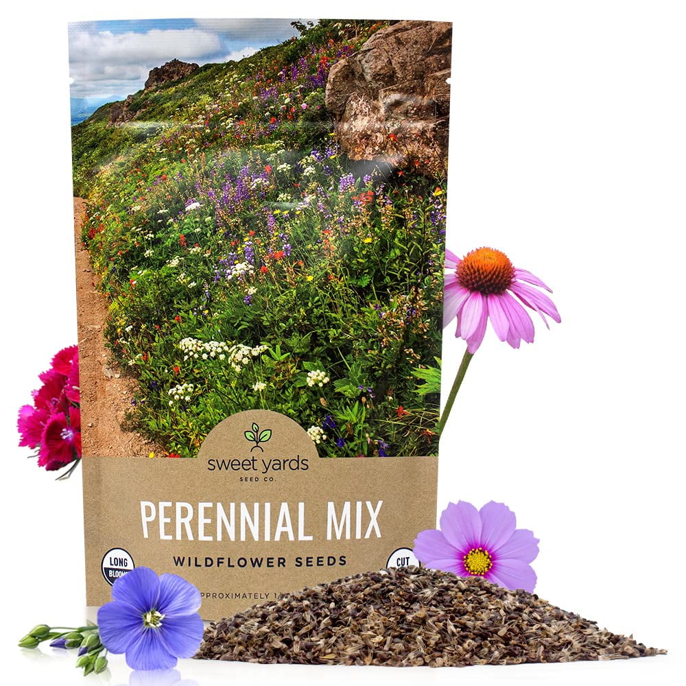 Perennial Wildflower Seeds Mixture Bulk 1/4 Pound Bag Over 60,000