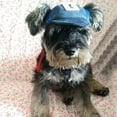 thumbnail image 5 of Summer savings kladzum Dog Hat Adjustable Dog Sun Hat with Earhole Chin Strap Dog Cats Puppy Costume Cap Hat on Clearance, 5 of 6