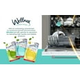 thumbnail image 4 of Wellnax Dishwasher Freshener (Green Apple), 4 of 10