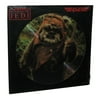 Star Wars Return of The Jedi Ewok The Story of 33 1/3 RPM Picture Disc