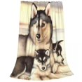 thumbnail image 5 of Husky Cool Mantas Franela Impreso Lovely Dog Portable Super Warm Throw Manta para sofá Travel Bedding Throws, 5 of 5