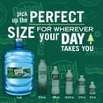 thumbnail image 4 of Poland Spring Maine Spring Water, 5 Gal, Single Jug, 4 of 11