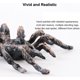 thumbnail image 3 of 4 piezas de figuras de araña realistas, modelos de acción de araña gigante, animales de plástico, juguetes de araña falsos, juguetes educativos de aprendizaje, regalo de cumpleaños, día de los in, 3 of 5