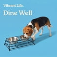 thumbnail image 4 of Vibrant Life Small 1.5-Cup Elevated Pet Double Diner, Silver, 4 of 9