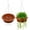 Red, variant on XISELI 2 Pack Large Hanging Planters 11in Plastic Plant Pots with Drainage Holes & Trays for Indoor Outdoor Garden Wall Window Decor (White)