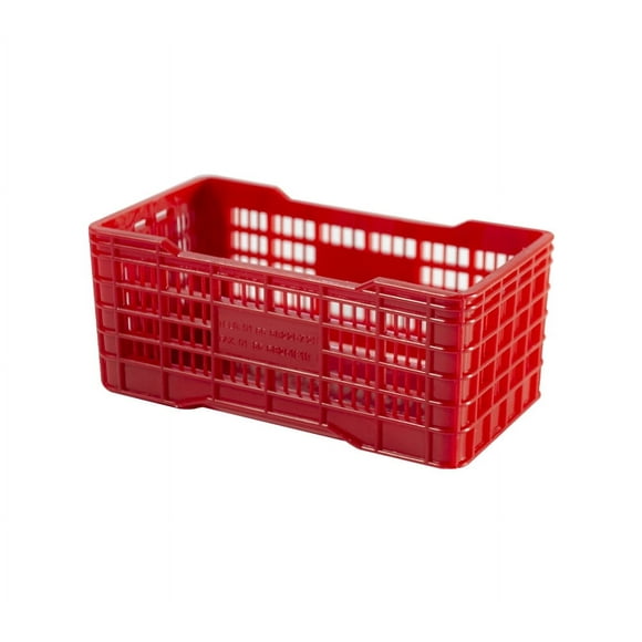 Paquete 10 MINI Caja Gigante