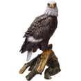 thumbnail image 1 of Ebros Gift American Eald Eagle Perching on Tree Branch Resin Figurine Statue, 1 of 5