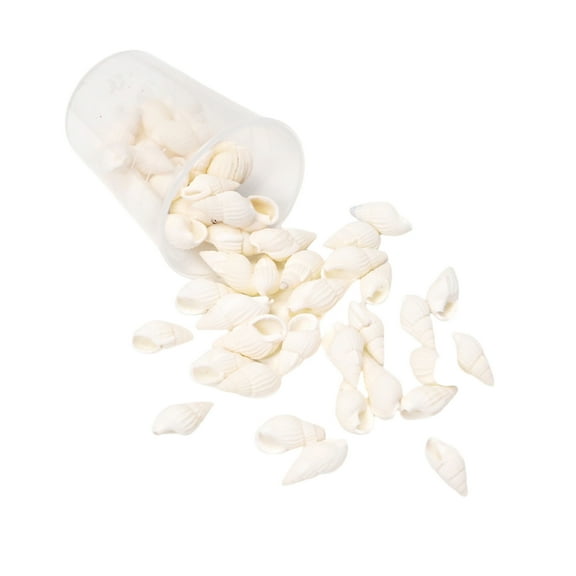 lixuesong Natural Sea Seashells Craft Set Unique Seashells Projects Crafting Shells for Jewelry Decors and Artistic Creations