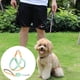 thumbnail image 5 of Desiderio Arnés sin tirones para perros pequeños y medianos, ajustable, 5 of 5