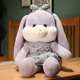thumbnail image 1 of Conejo de peluche de 40/50/70CM con falda de flores para niños, bonito juguete para niñas, regalos de cumpleaños zhangyuxiang LED, 1 of 2